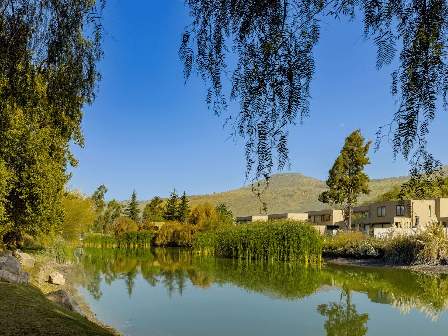 El Magnolio Santa Elena